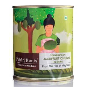 Fresh Raw Jackfruit Chunks (in Brine)