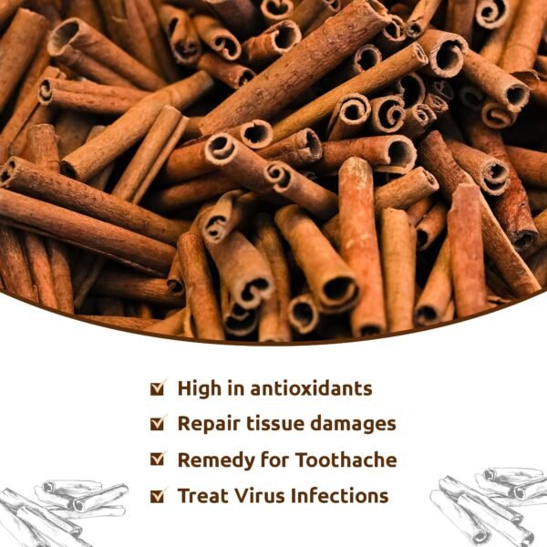 Organic Cinnamon ( Dalchini ) | Whole Spice